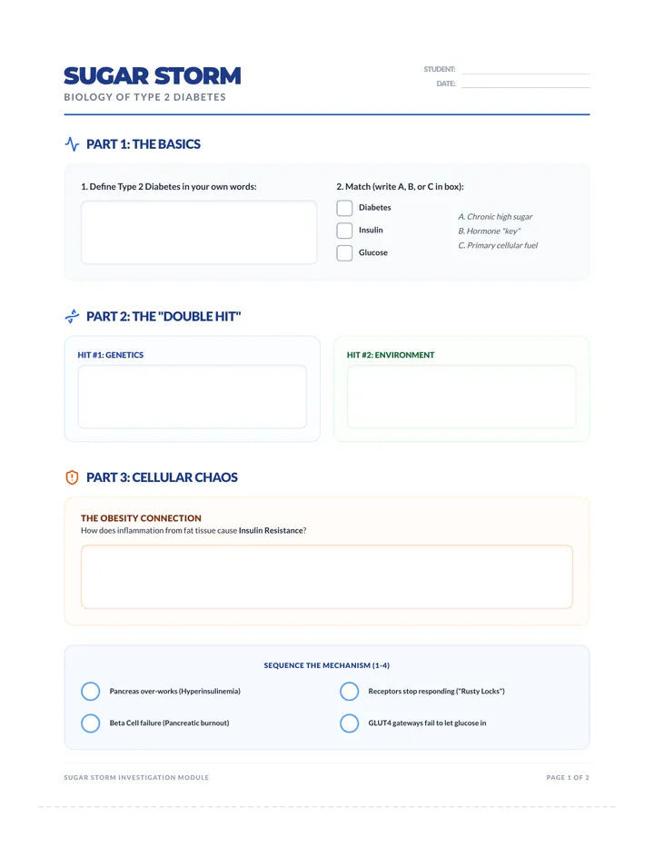 Sugar Storm Worksheet