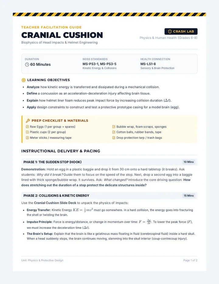 Cranial Cushion Lesson Plan