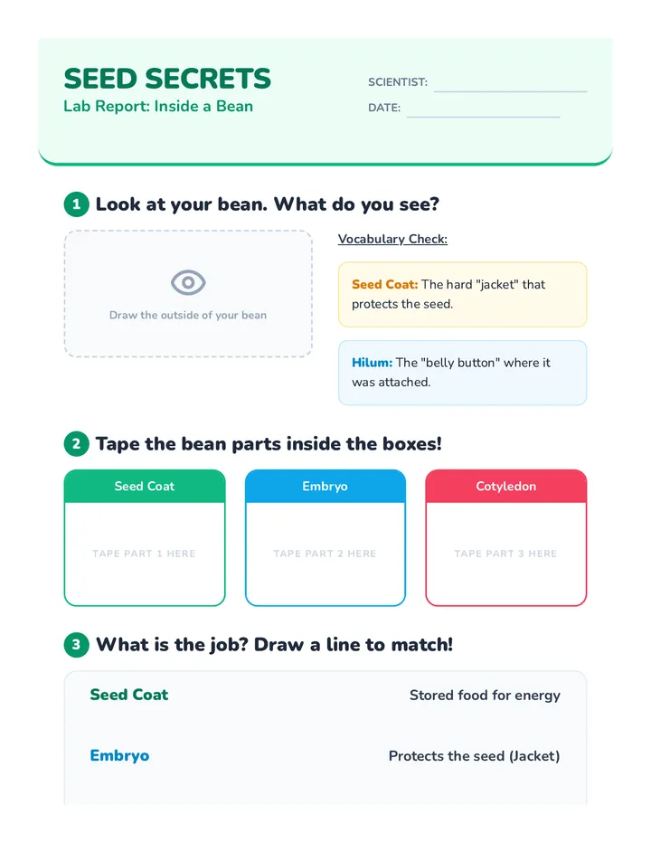 Seed Secrets Lab Report
