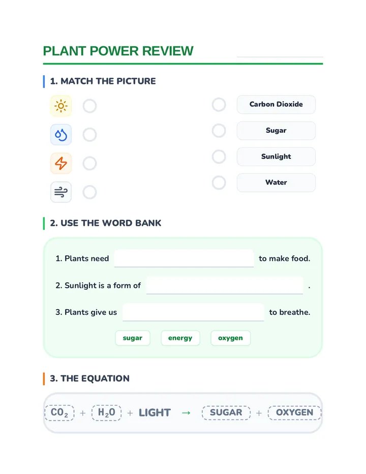 Plant Power Scaffolding Worksheet