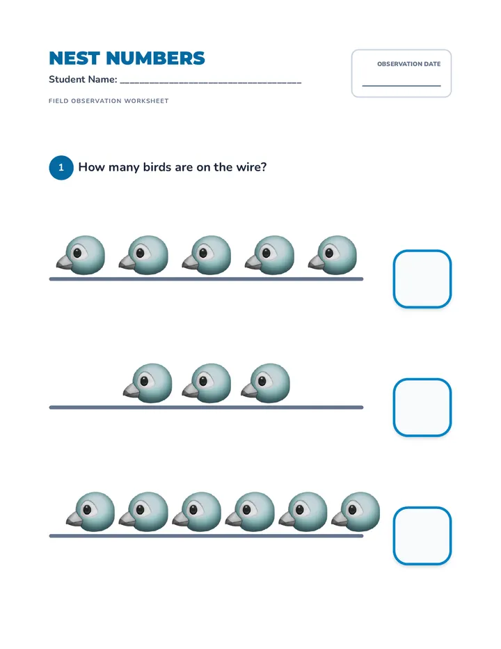 Nest Numbers Worksheet