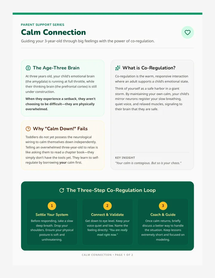 Calm Connection Handout
