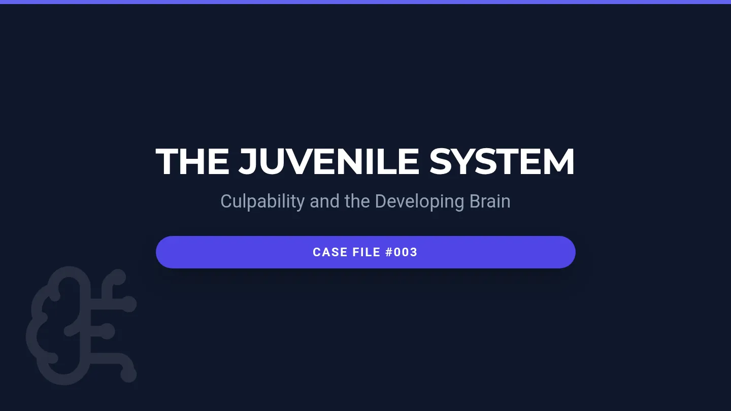 Juvenile Justice Slides