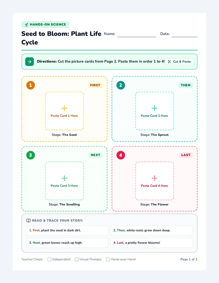 Seed to Bloom Activity Sheet