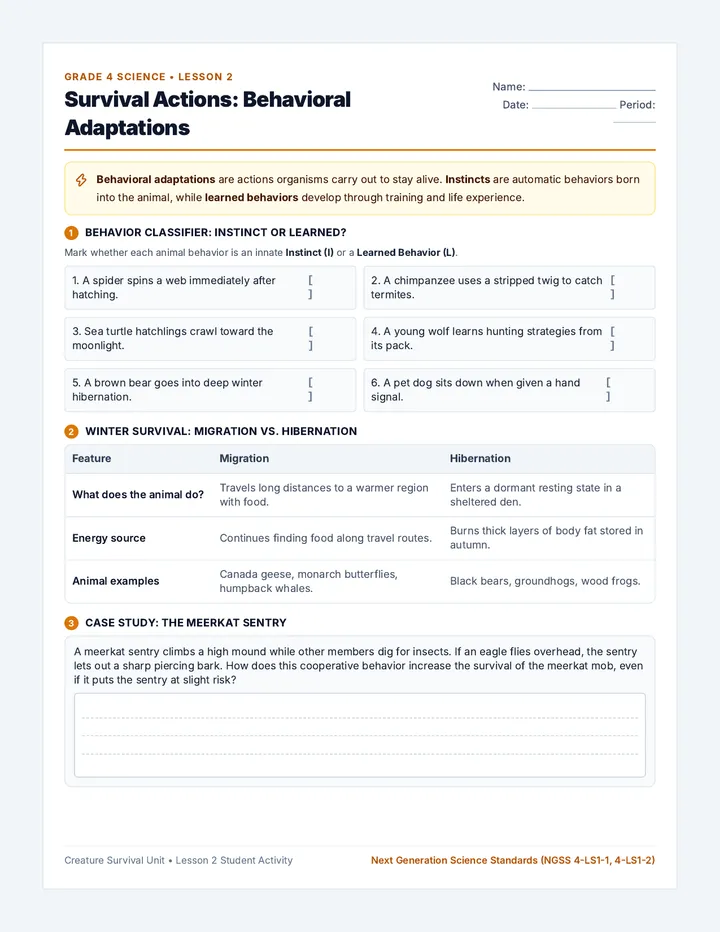 Survival Actions Worksheet