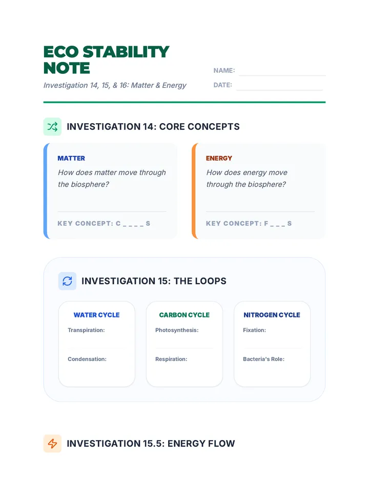 Eco Stability Worksheet Trimmed