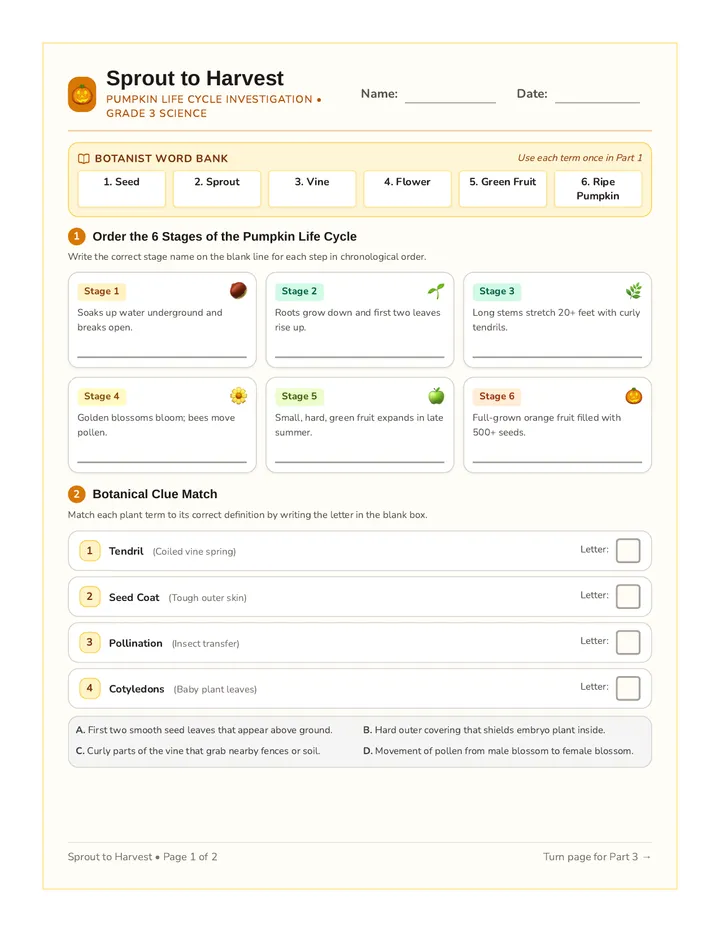 Sprout to Harvest Worksheet