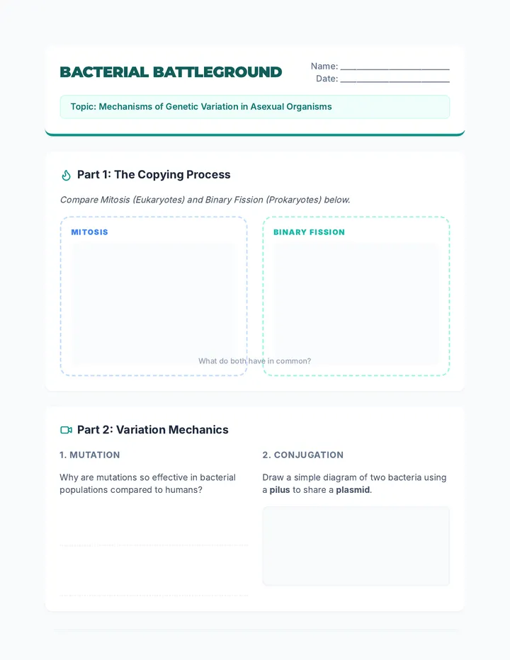 Bacterial Battleground Worksheet