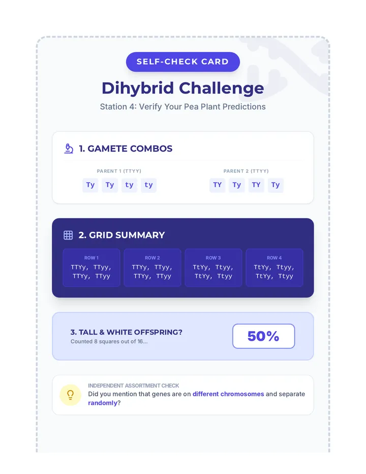 Dihybrid Duel Self Check