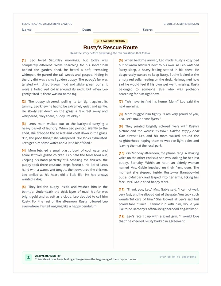 Rusty Rescue Assessment