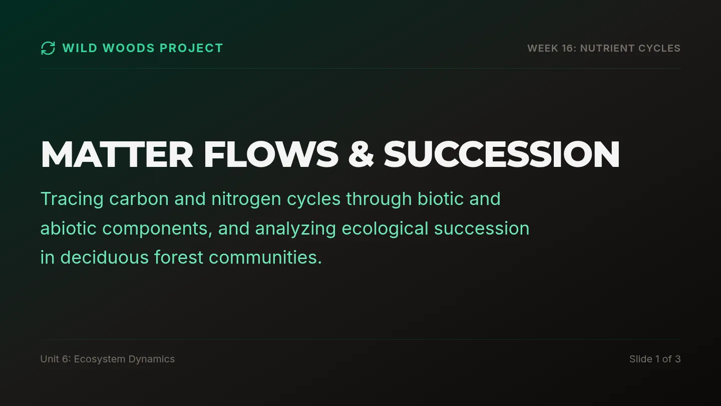 Nutrient Cycles Slides