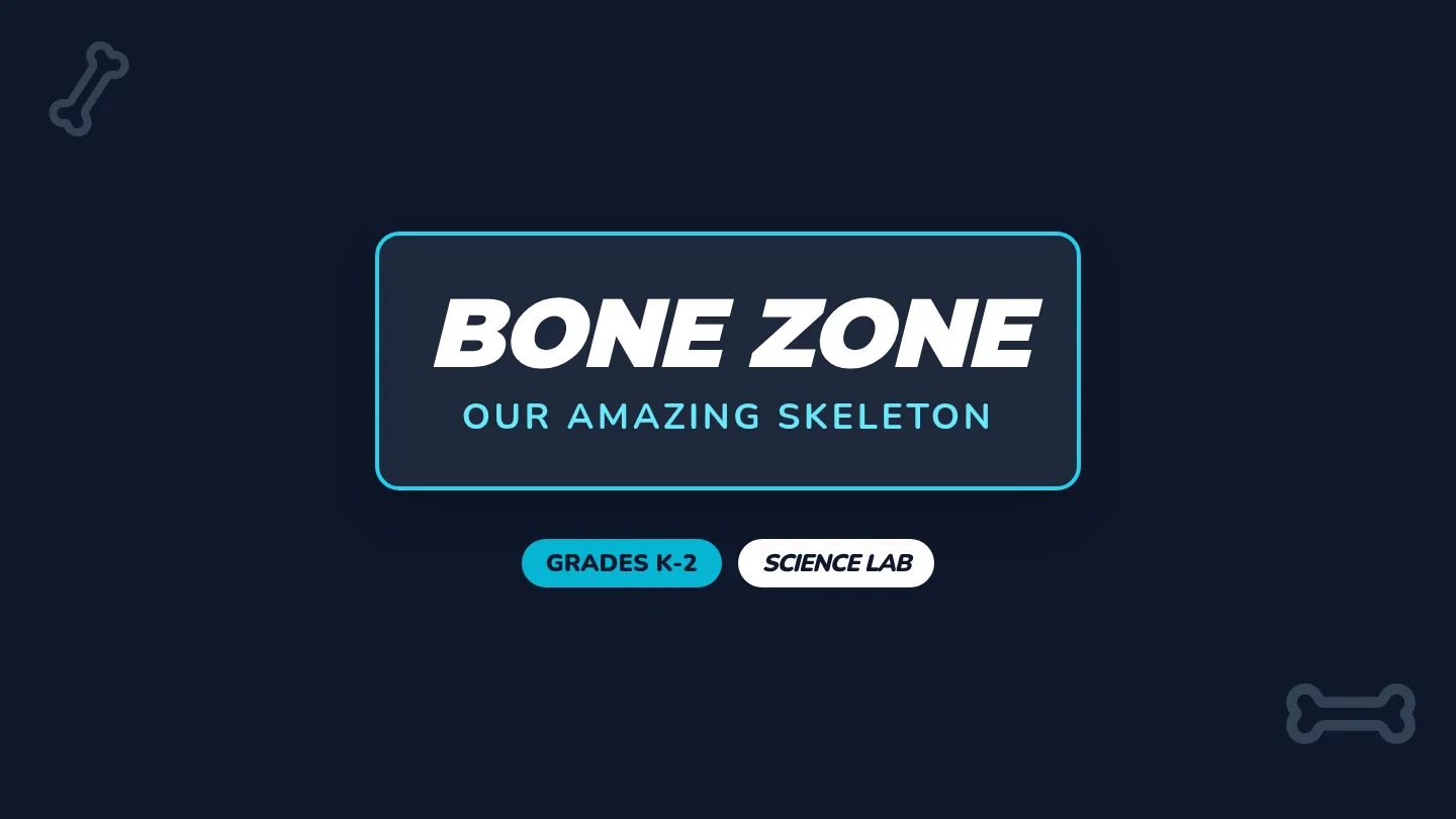 Bone Zone Slides