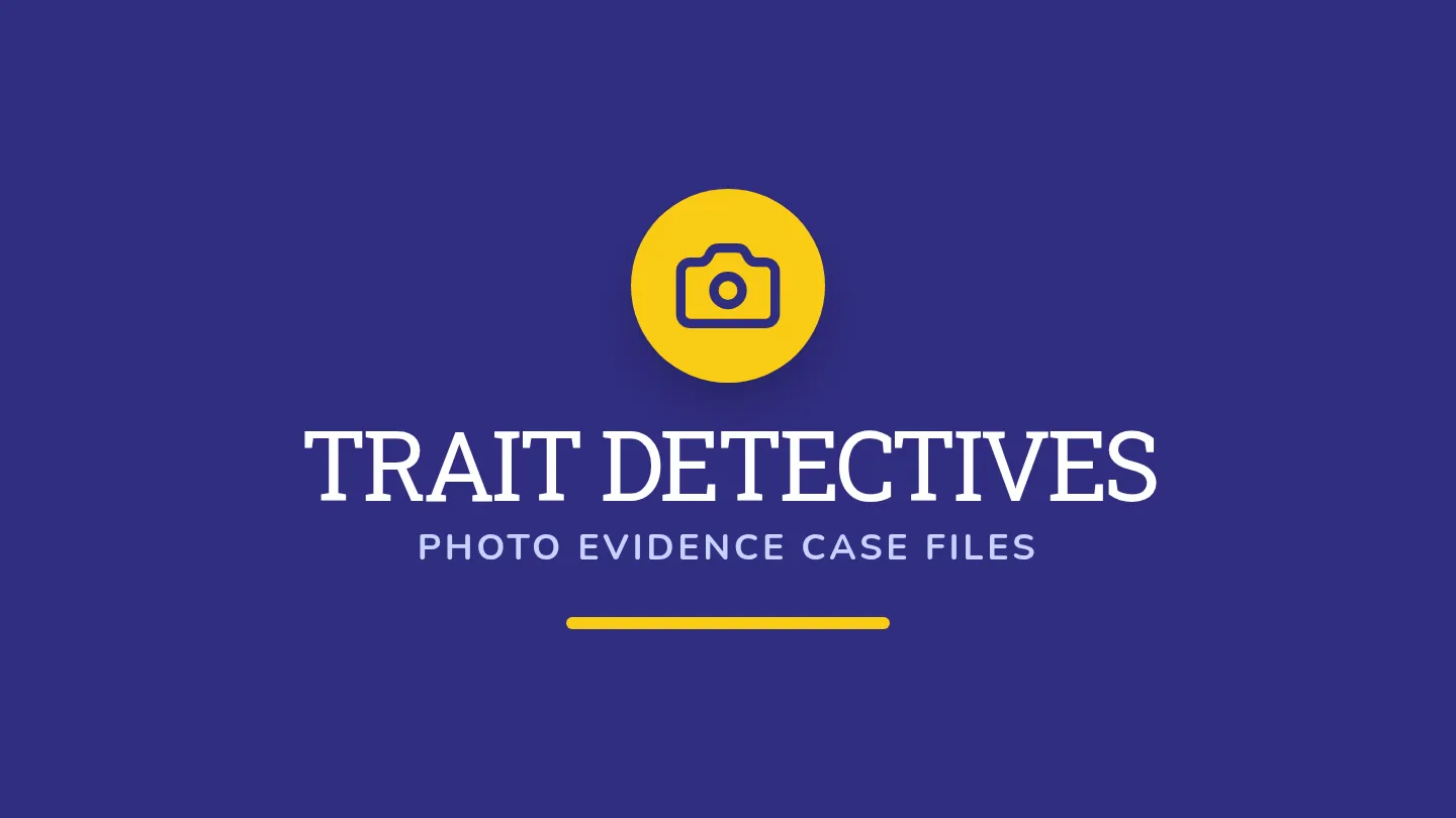 Trait Evidence Slides