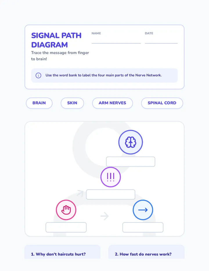 Signal Path Worksheet