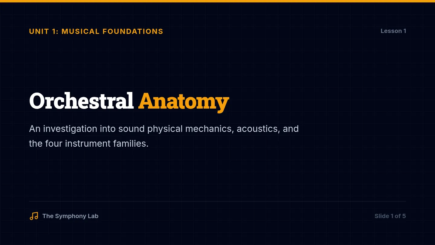 Orchestral Anatomy Slides