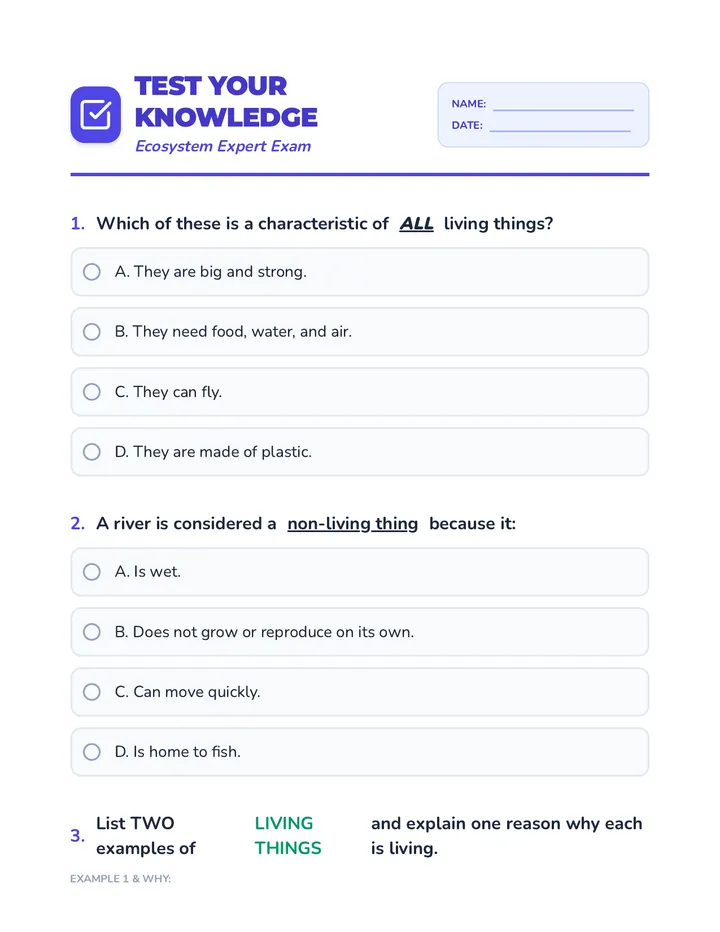 Test Your Knowledge Summative Assessment