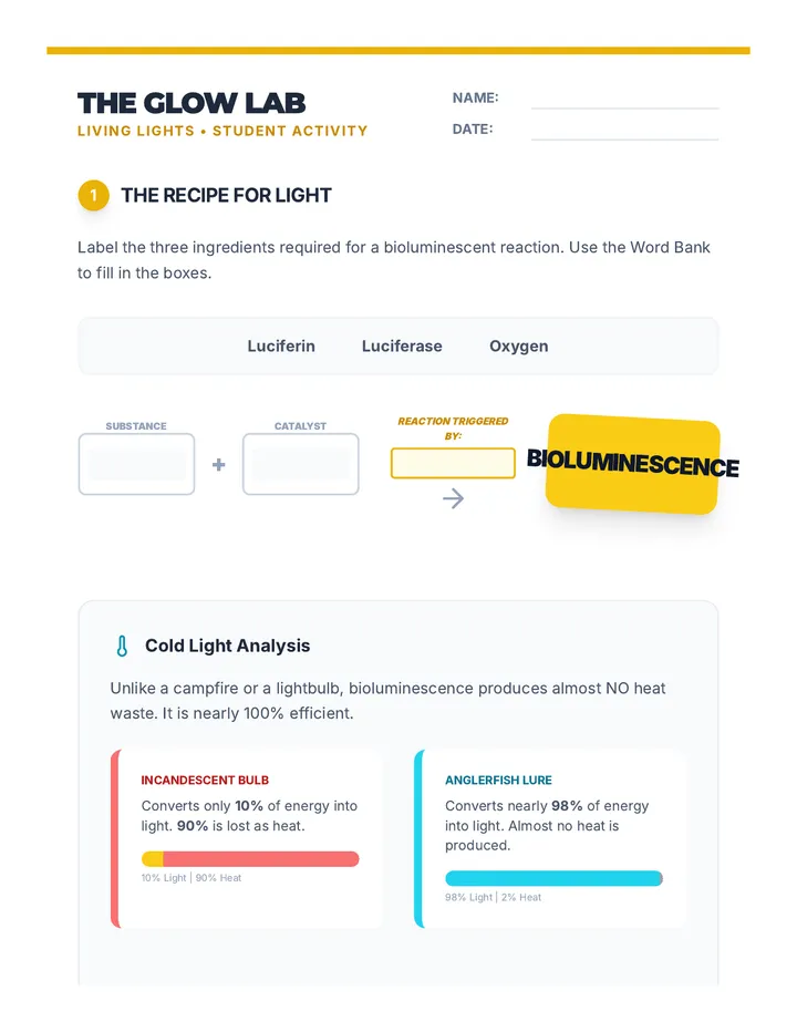 The Glow Lab Worksheet