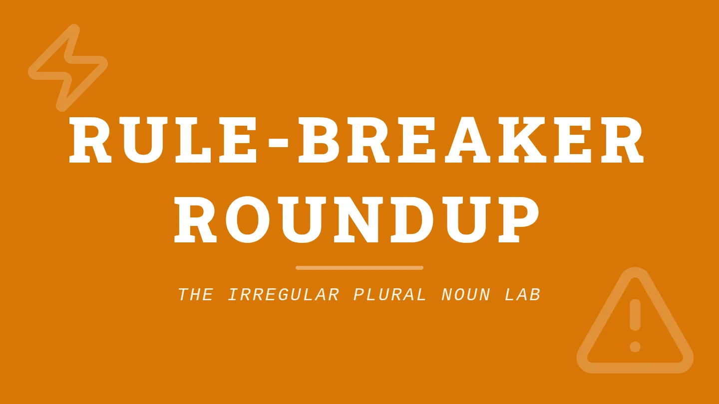 Irregular Noun Roundup Slides