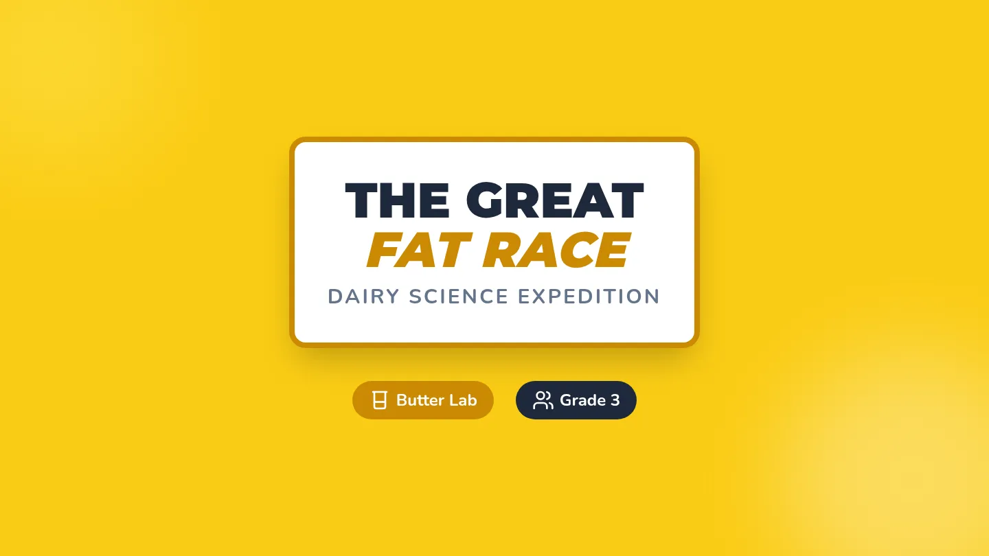 The Great Fat Race Slides