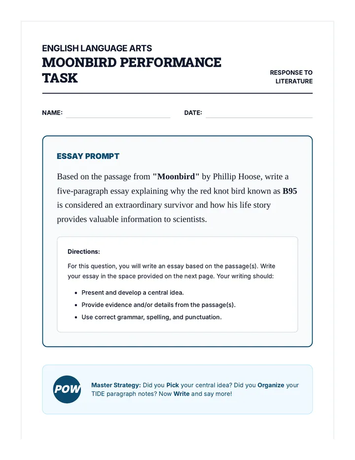 Moonbird Analysis Essay Task