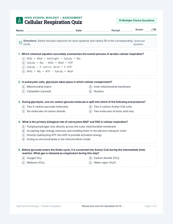 Cellular Respiration Quiz