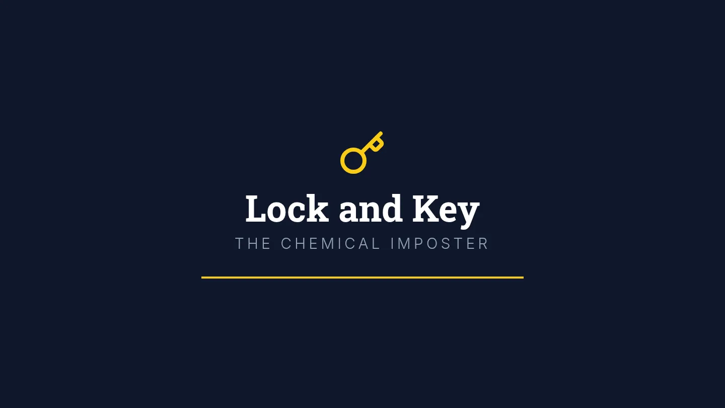 Lock and Key Slides
