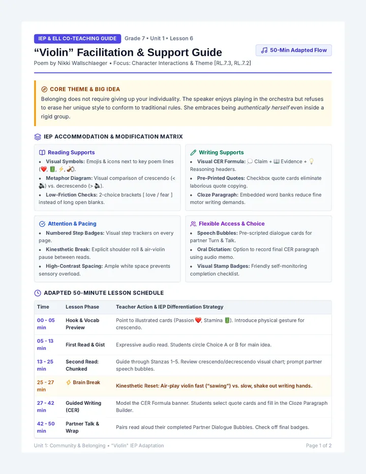 Violin IEP Facilitation Guide