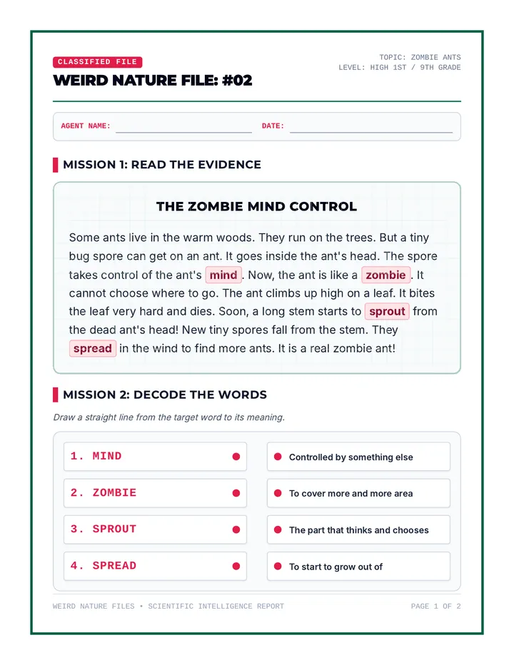 Zombie Ants Worksheet