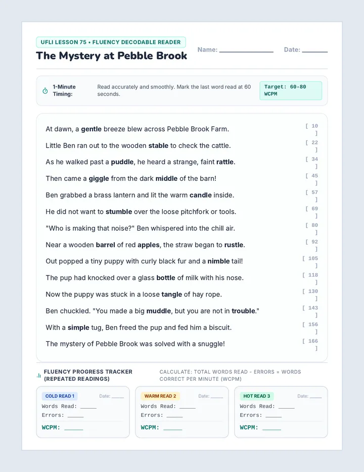 Puddle Mystery Fluency Reader