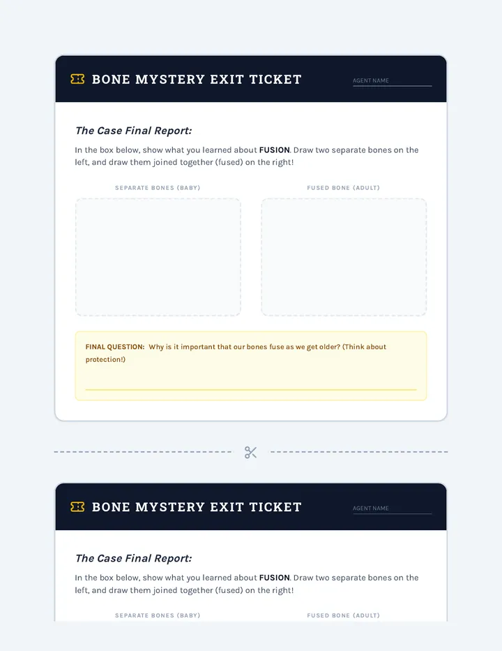 Bone Fusion Exit Ticket