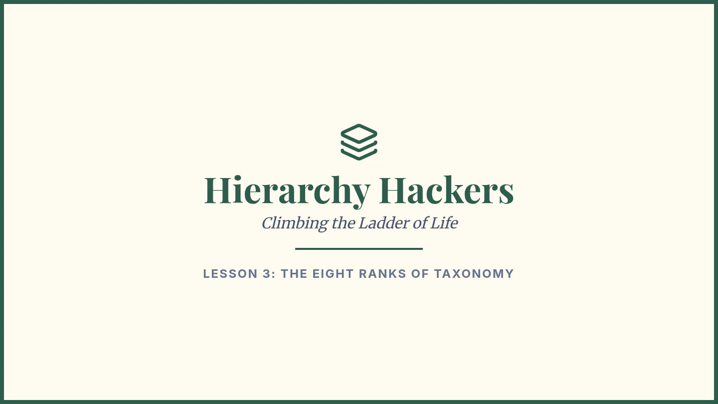 Hierarchy Hackers Slides