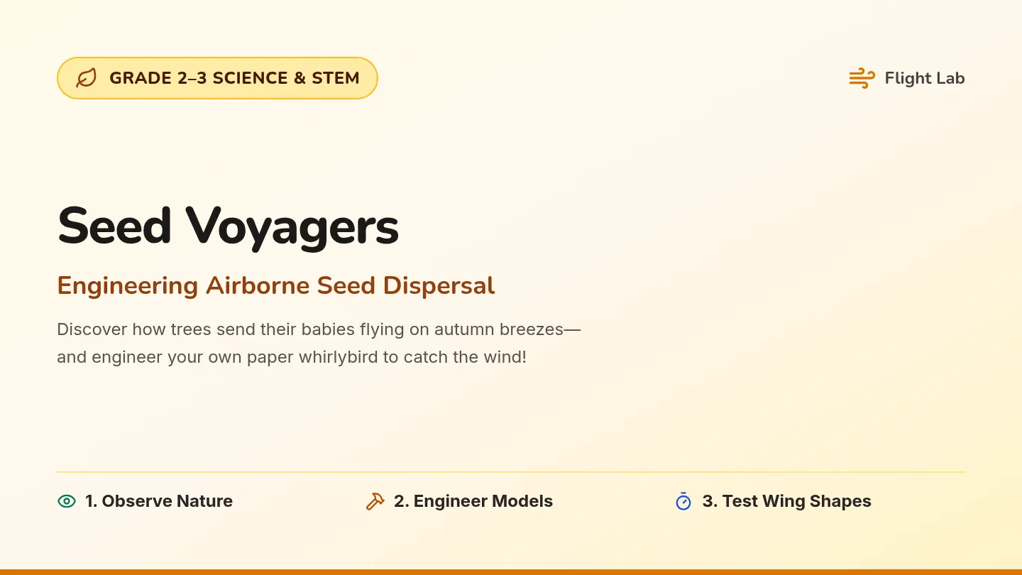 Seed Voyagers Slides