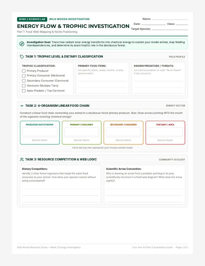 Energy Investigation Worksheet