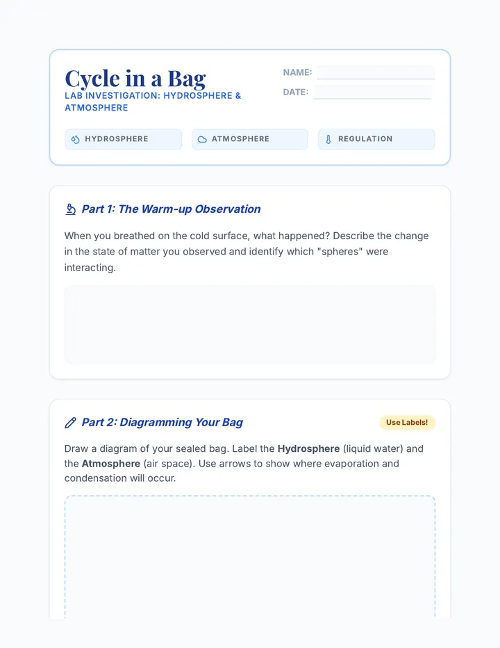 Cycle in a Bag Worksheet