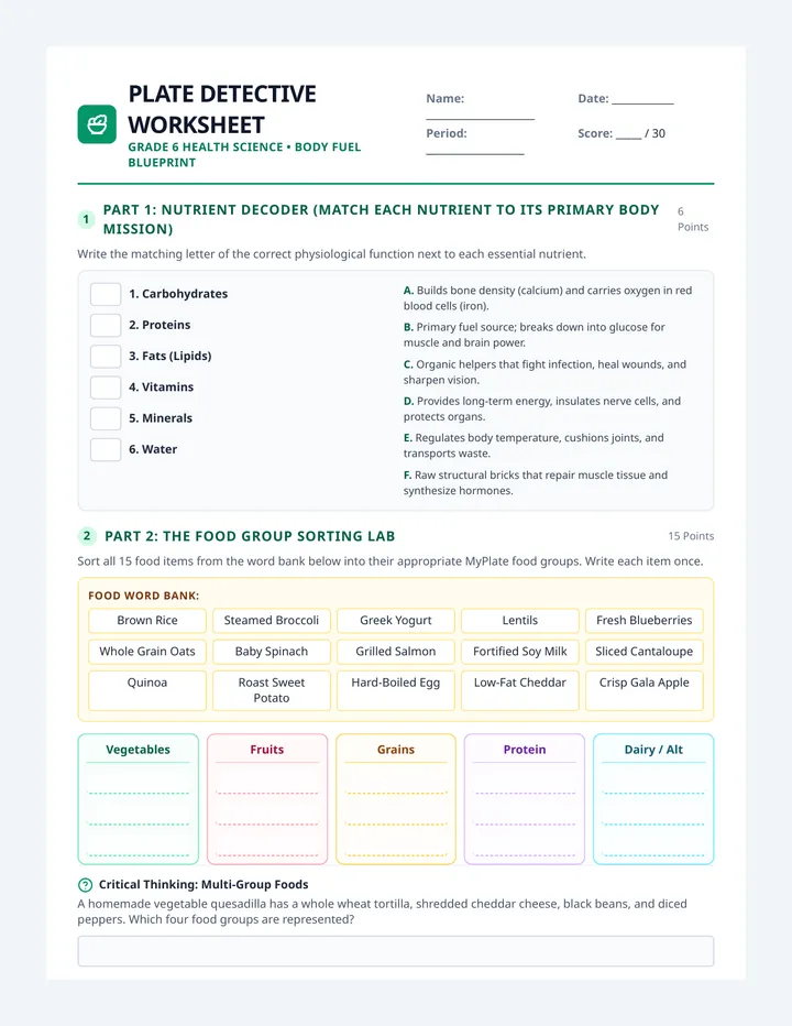 Plate Detective Worksheet