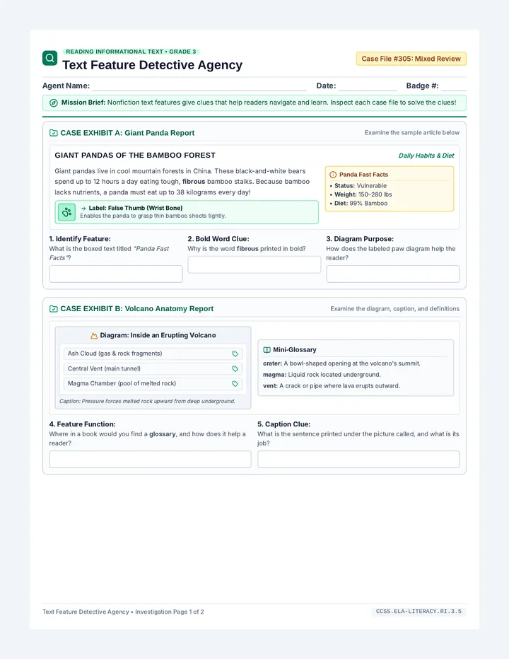 Text Feature Detective Worksheet