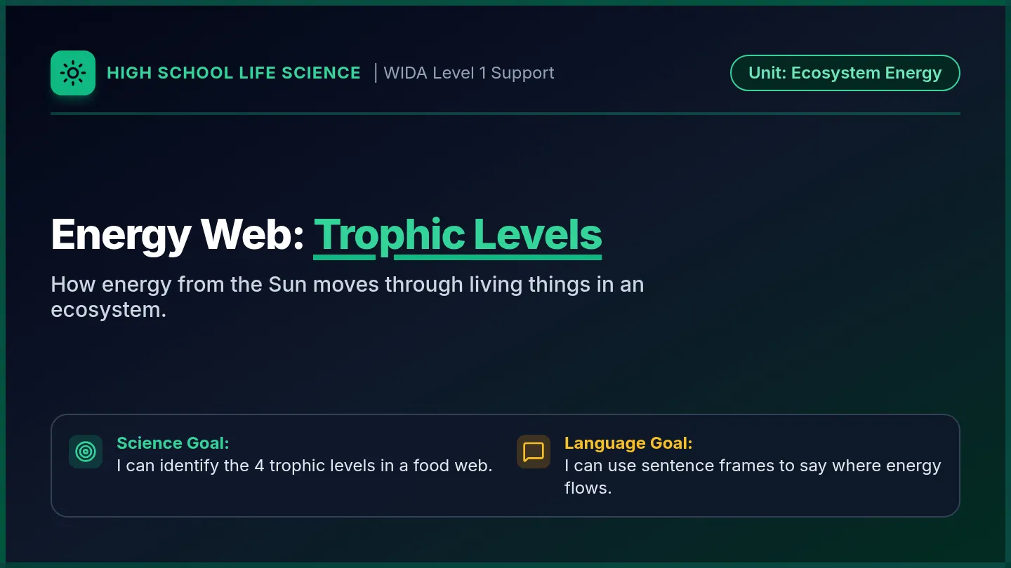 Energy Web Slides