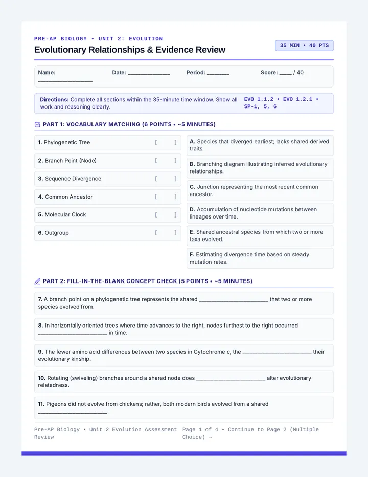Evolution Review Practice Worksheet