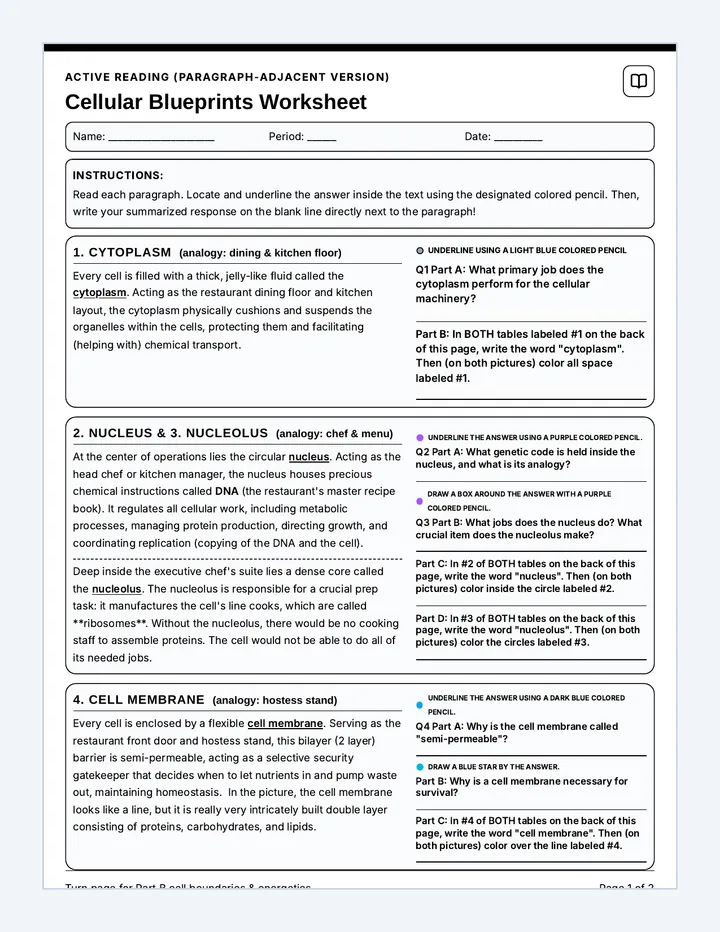 Cell Blueprints Reading Side Worksheet