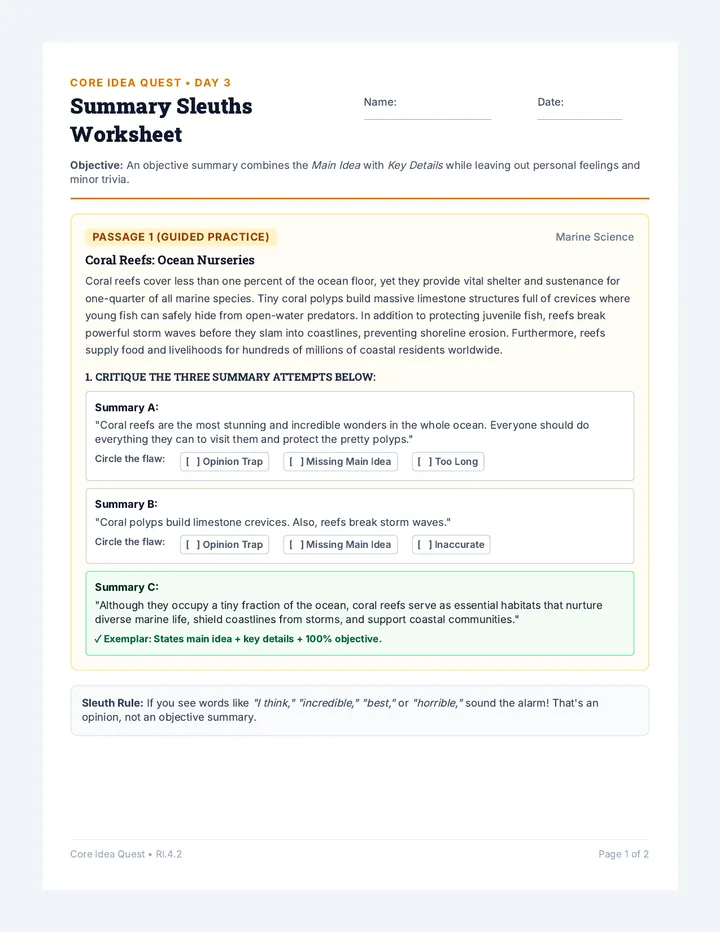 Summary Sleuths Worksheet