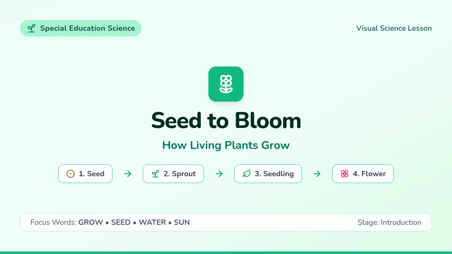 Seed to Bloom Slides