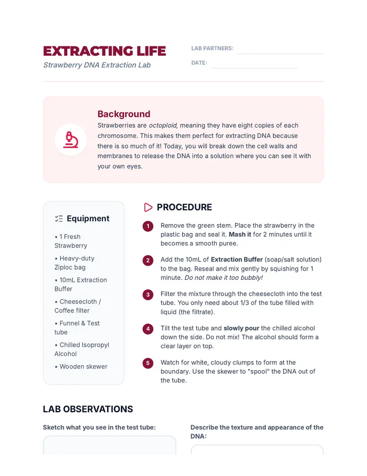 Strawberry DNA Lab Guide