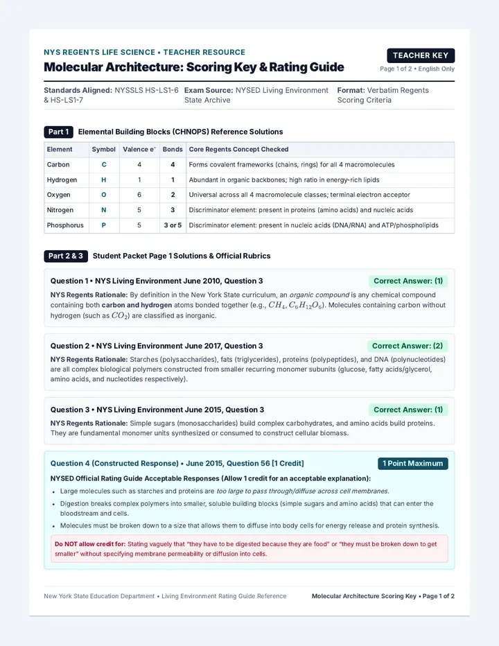 Molecular Architecture Scoring Key