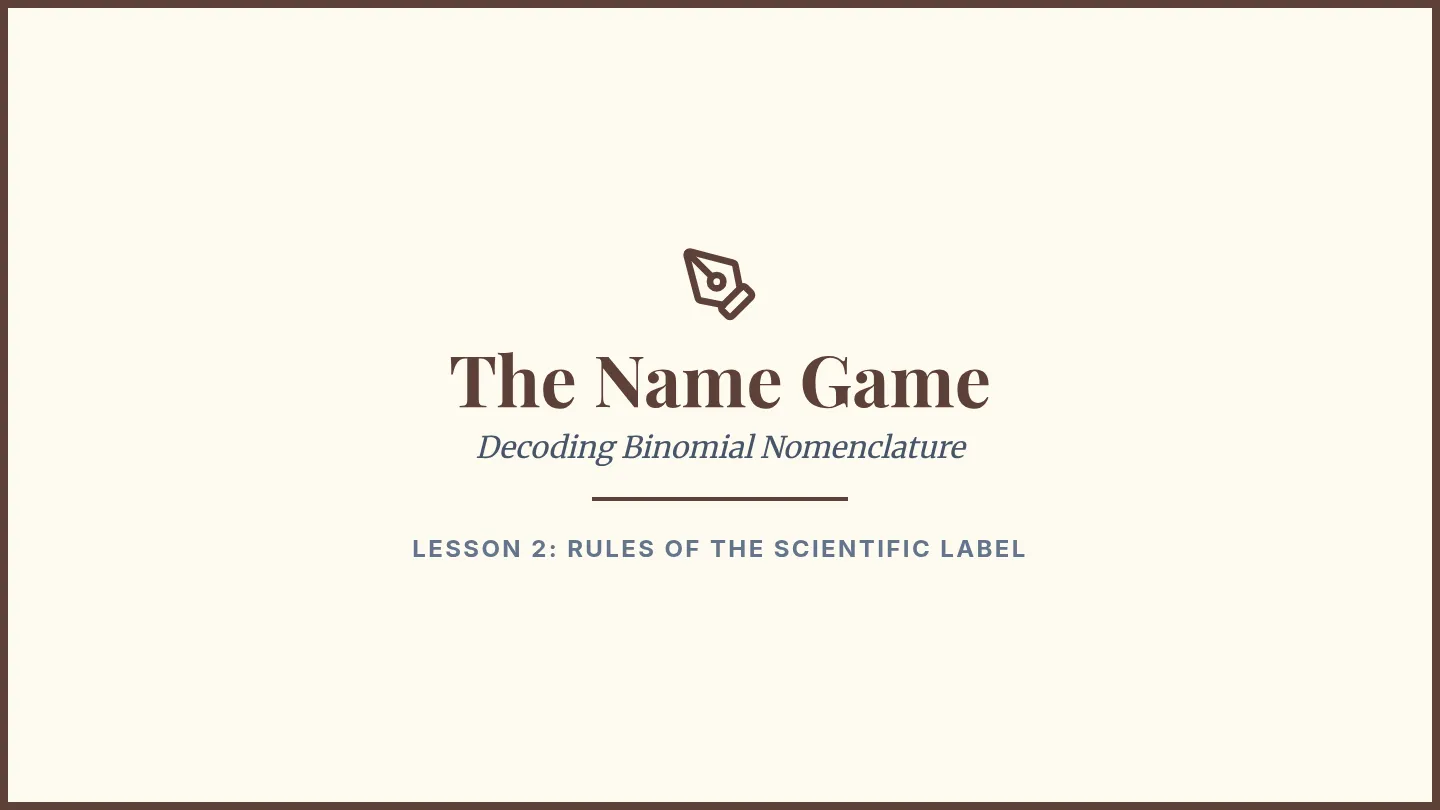 Name Game Slides