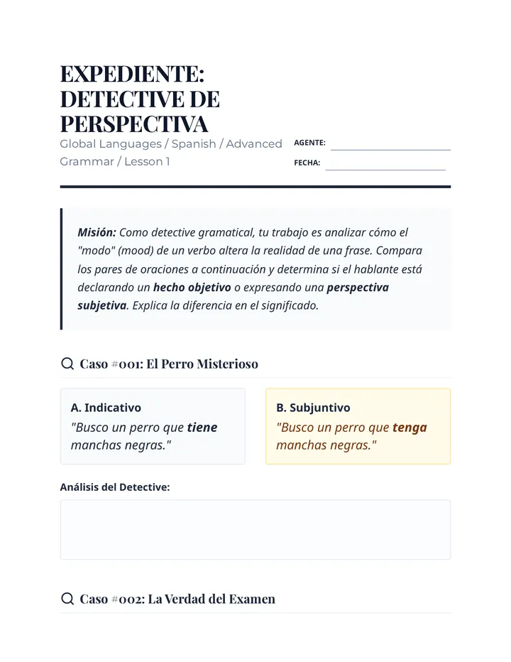 Perspective Detective Worksheet