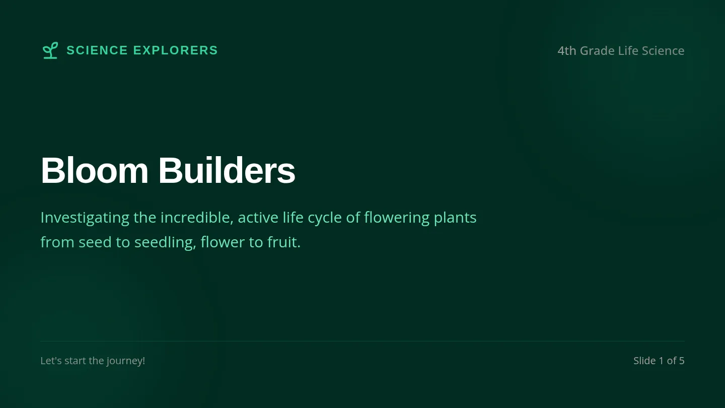 Bloom Builders Slides