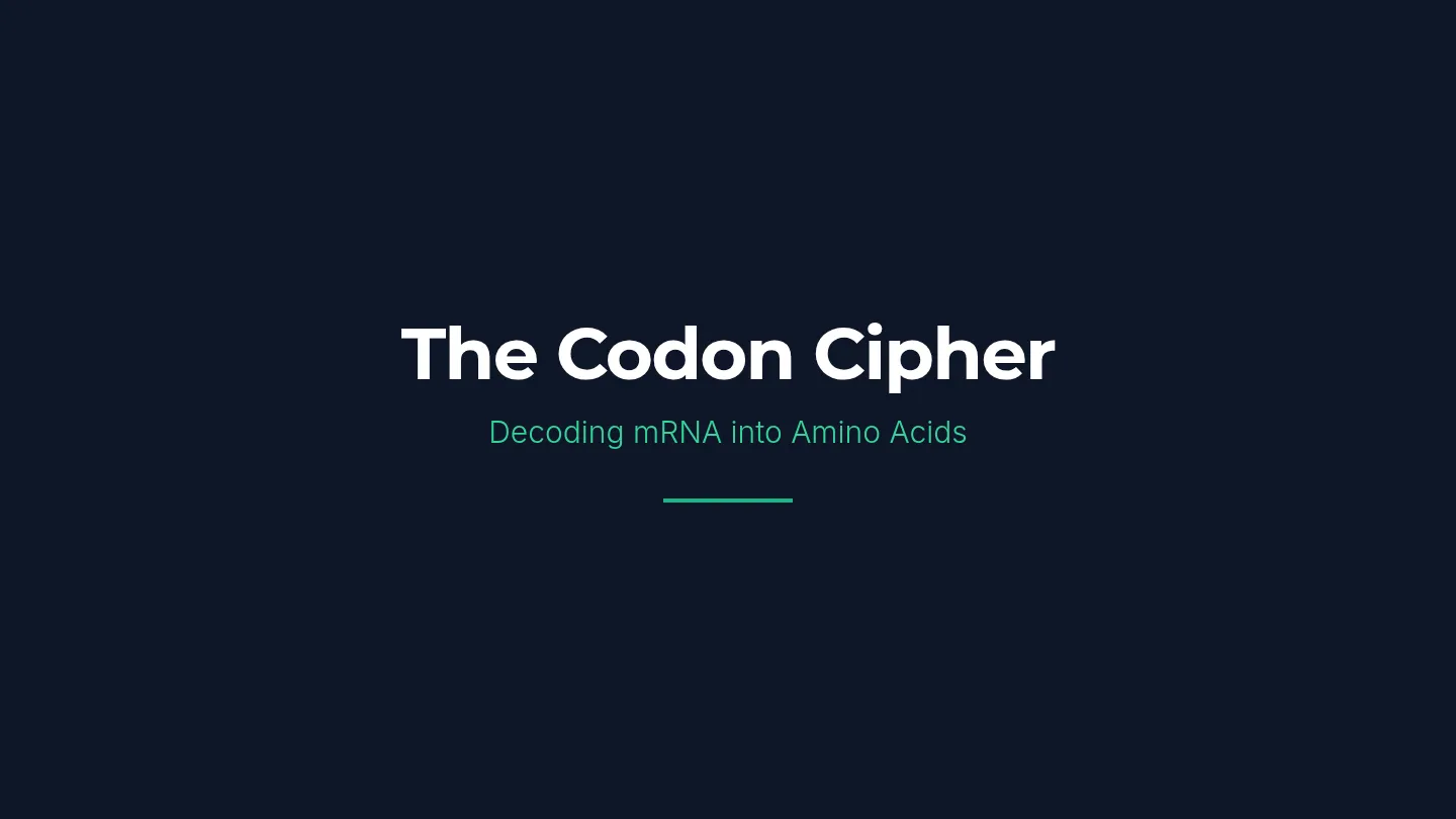 Codon Cipher Slides