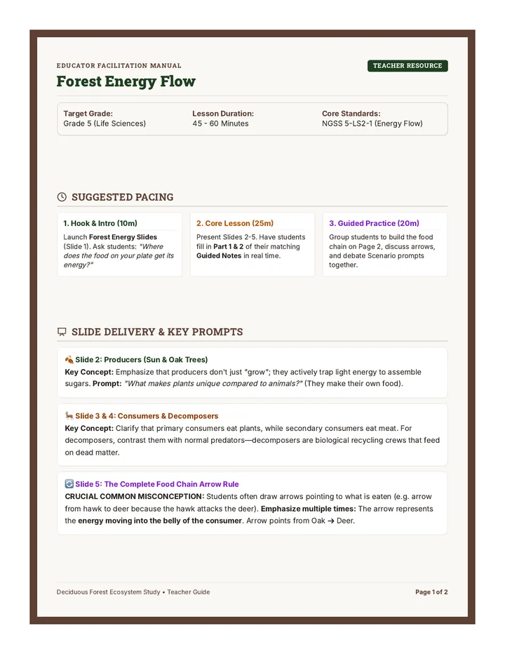 Forest Energy Teacher Guide