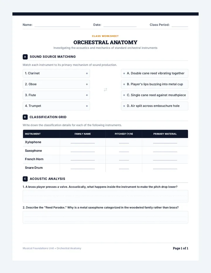 Orchestral Anatomy Worksheet