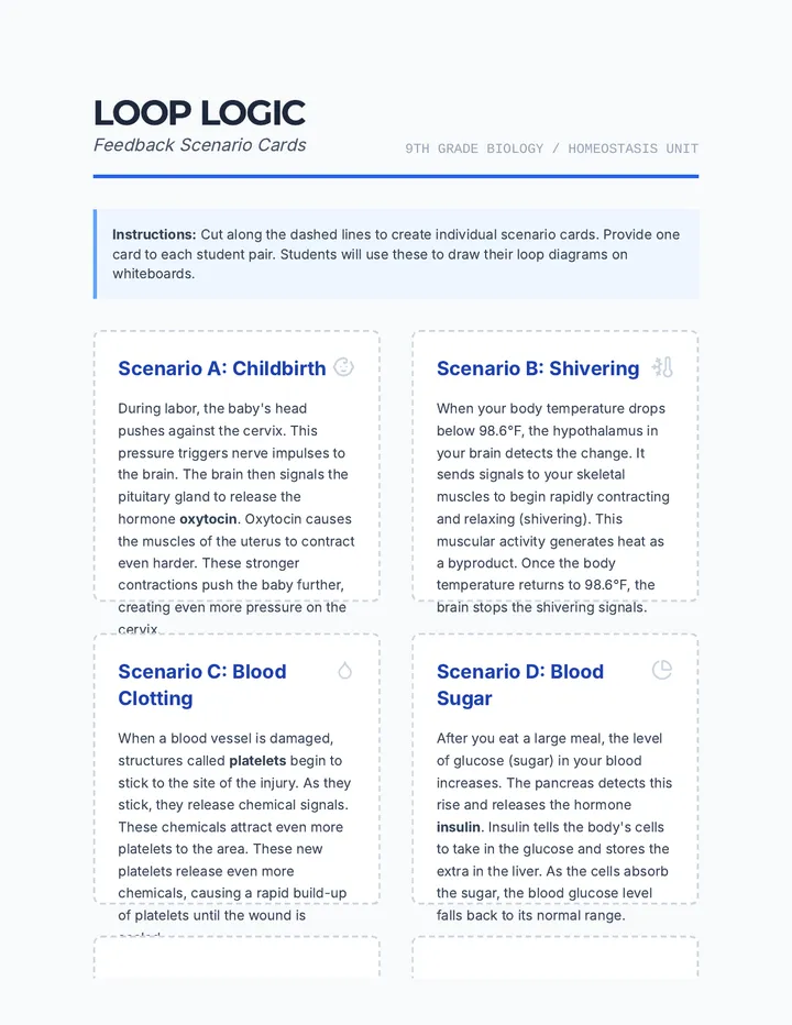 Loop Logic Scenarios